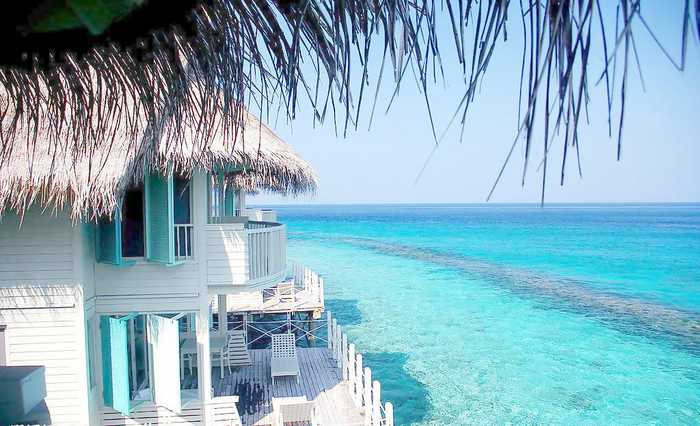 太阳成集团tyc7111cc:中国推进肉类蔬菜追溯体系建设天津等地试点(图2) 太阳成集团tyc7111cc