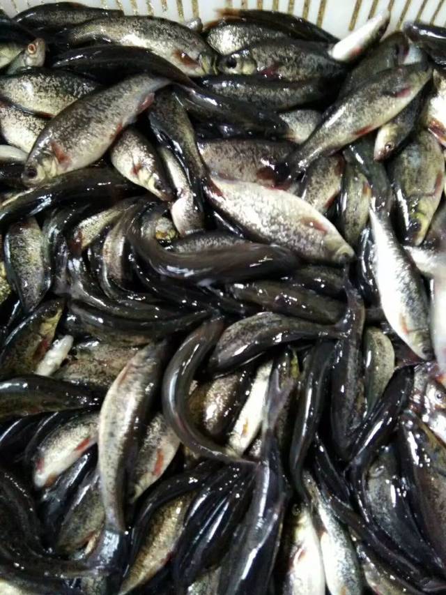 黔西南州政府工作报告提出物流配送覆盖60%行政村目标【太阳成集团tyc7111cc】