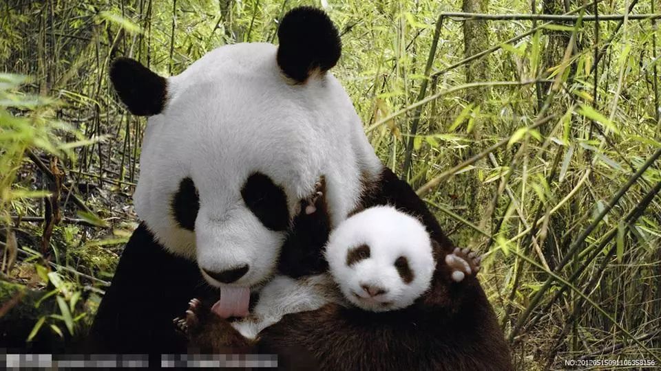 太阳成集团tyc7111cc_甩挂运输提速现代物流(图3) 太阳成集团tyc7111cc