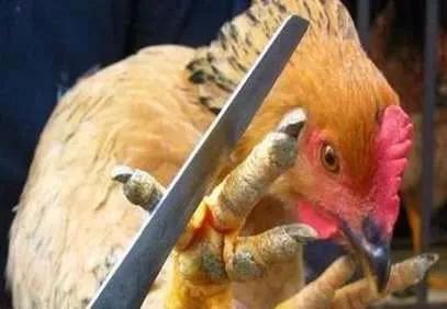 “太阳成集团tyc7111cc”开封市政府出台《开封市快递物流转型发展工作方案》(图3) 太阳成集团tyc7111cc