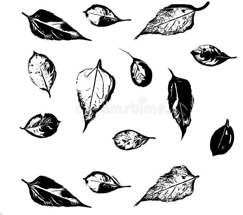 太阳成集团tyc7111cc