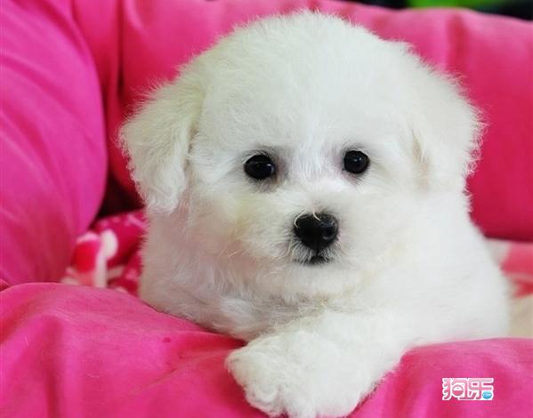 太阳成集团tyc7111cc_美退约后首次试射中程弹道导弹但暂不具备实战价值(图2) 太阳成集团tyc7111cc