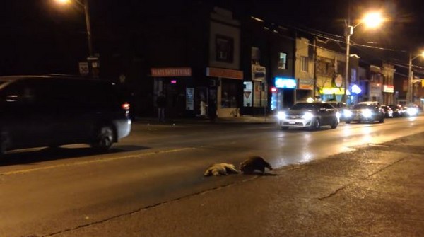 ‘太阳成集团tyc7111cc’女性不必日行万步每日走7500步足矣(图1) 太阳成集团tyc7111cc