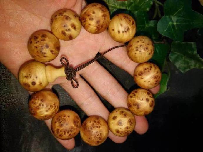 太阳成集团tyc7111cc:钓鱼用什么APP好呢?(图1) 太阳成集团tyc7111cc