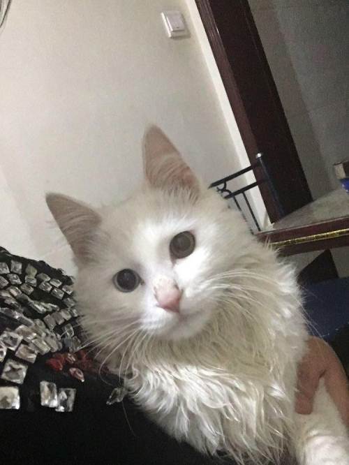 太阳成集团tyc7111cc