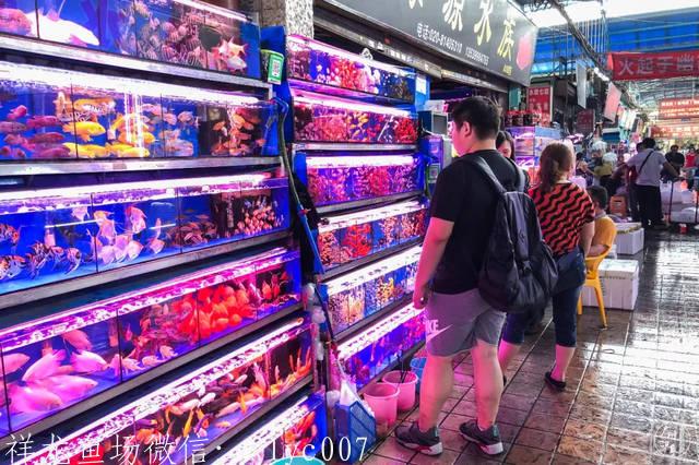 太阳成集团tyc7111cc