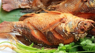 太阳成集团tyc7111cc