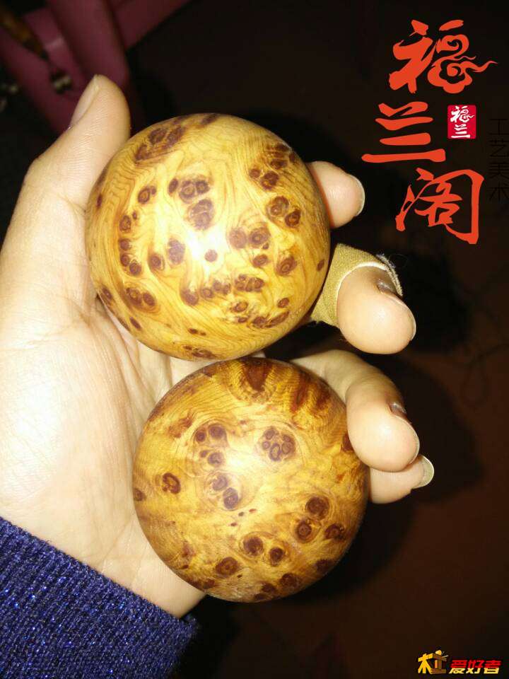 太阳成集团tyc7111cc_顺丰航空“长沙-胡志明”全货机首航成功(图3) 太阳成集团tyc7111cc