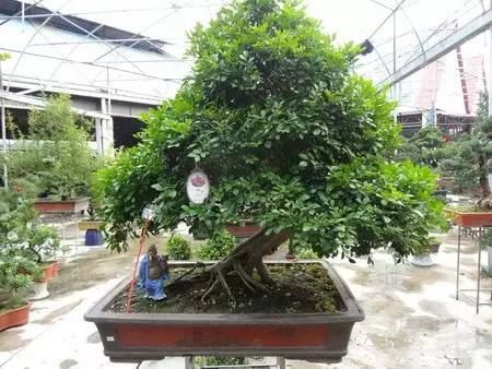 太阳成集团tyc7111cc