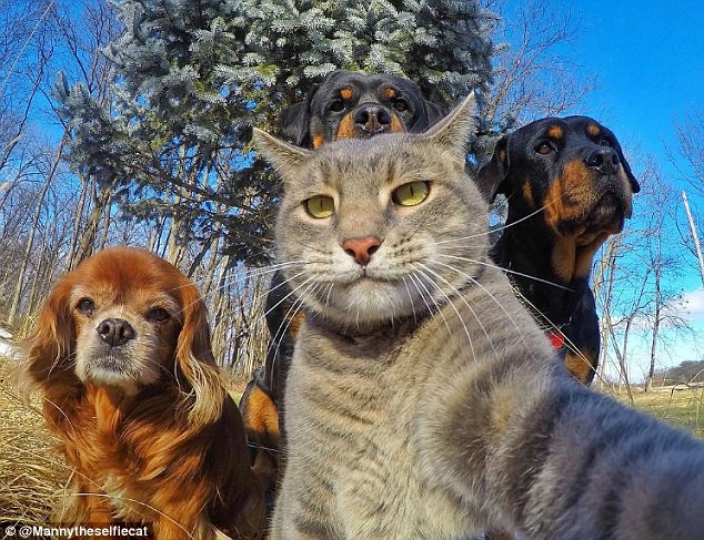 太阳成集团tyc7111cc