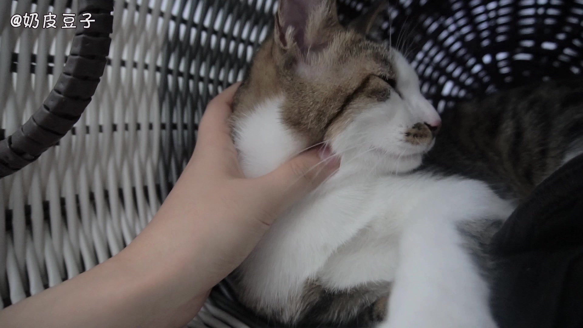 太阳成集团tyc7111cc|硬核援助:白俄罗斯直接派军机给中国拉来医疗物资!(图1) 太阳成集团tyc7111cc