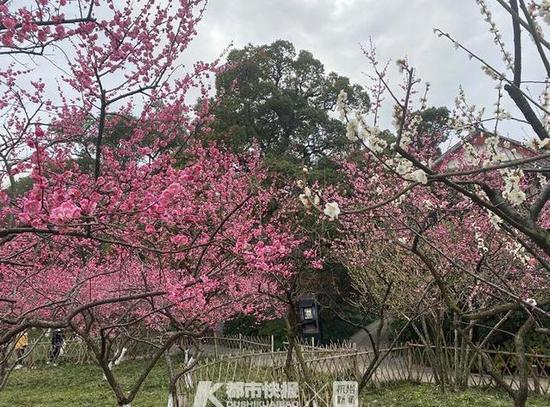 太阳成集团tyc7111cc