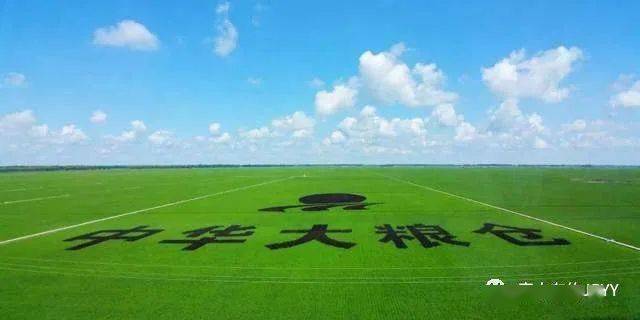 
诗人盛军《北方啊 北方！》朗诵英子（第94期）：太阳成集团tyc7111cc(图6)