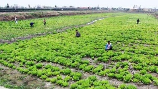 中国是否要买苏57?官媒:可与国内战机对比后再决定【太阳成集团tyc7111cc】