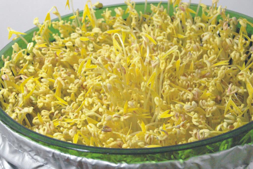 中国污染到底有多重：污水总量超环境容量三倍-太阳成集团tyc7111cc