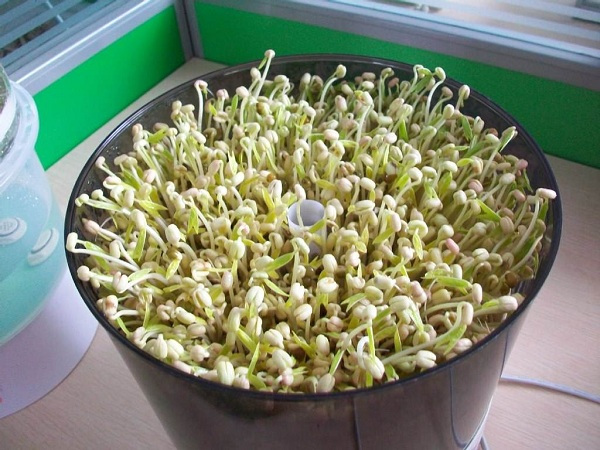 太阳成集团tyc7111cc