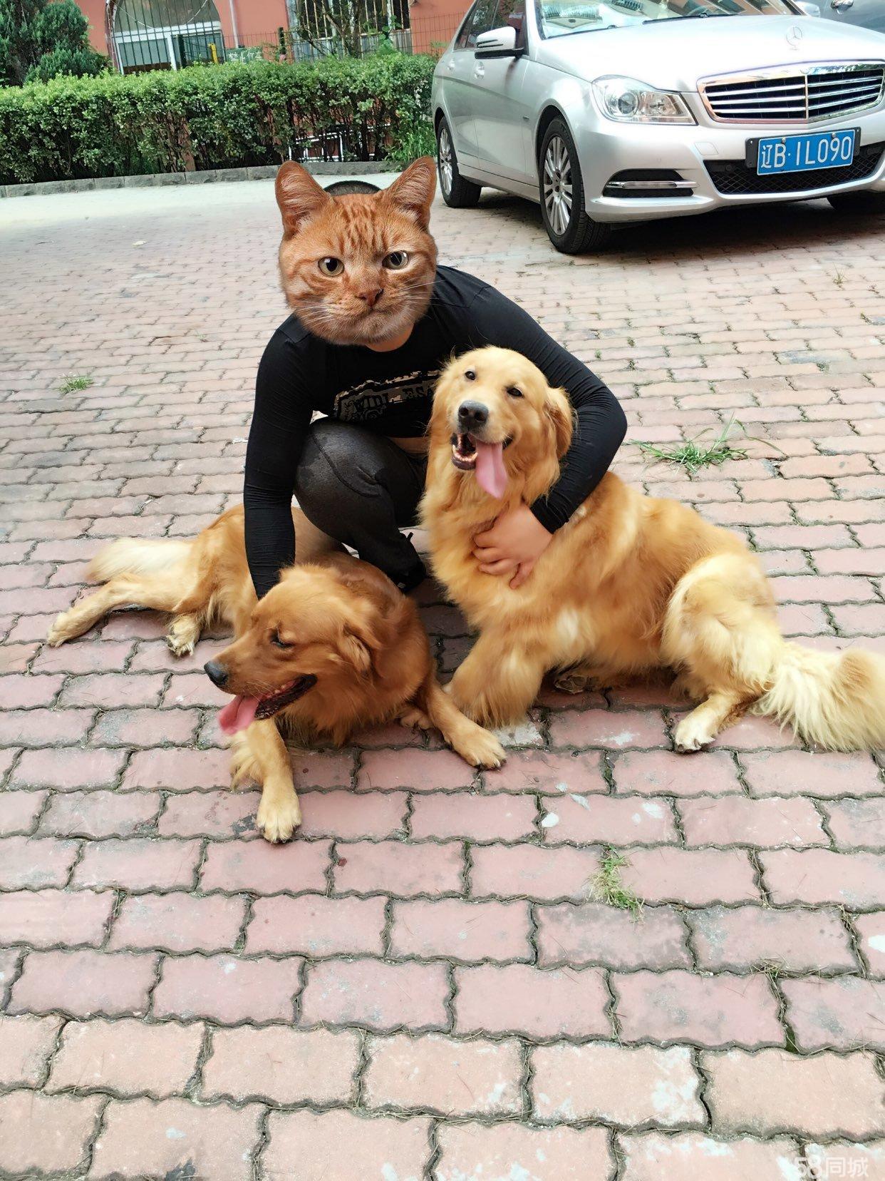 太阳成集团tyc7111cc