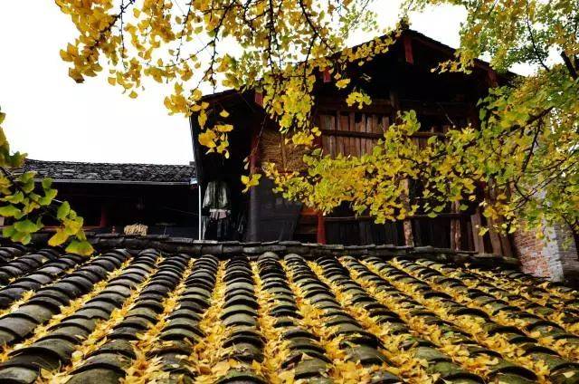 太阳成集团tyc7111cc