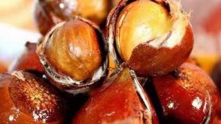 太阳成集团tyc7111cc