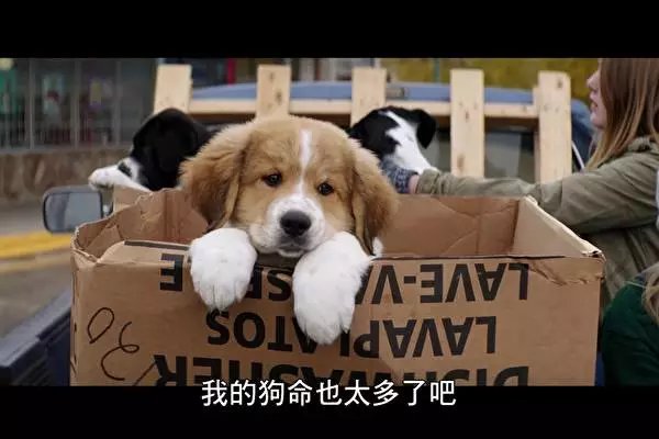 太阳成集团tyc7111cc