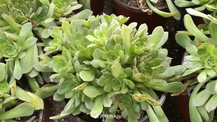 咸阳：快递三轮需备案登记，将统一“挂牌”行驶‘太阳成集团tyc7111cc’