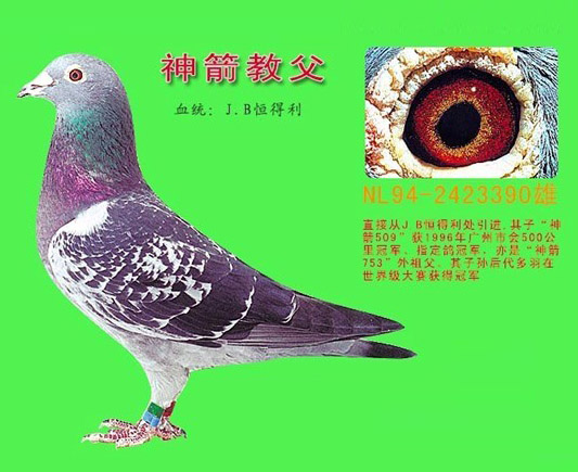 上海食药监局:福喜有组织安排用过期肉“太阳成集团tyc7111cc”(图1) 太阳成集团tyc7111cc