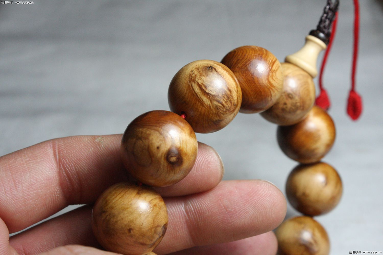 太阳成集团tyc7111cc