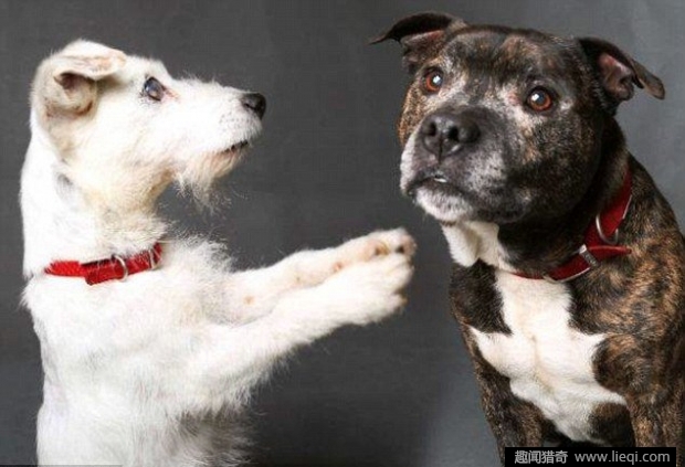 太阳成集团tyc7111cc