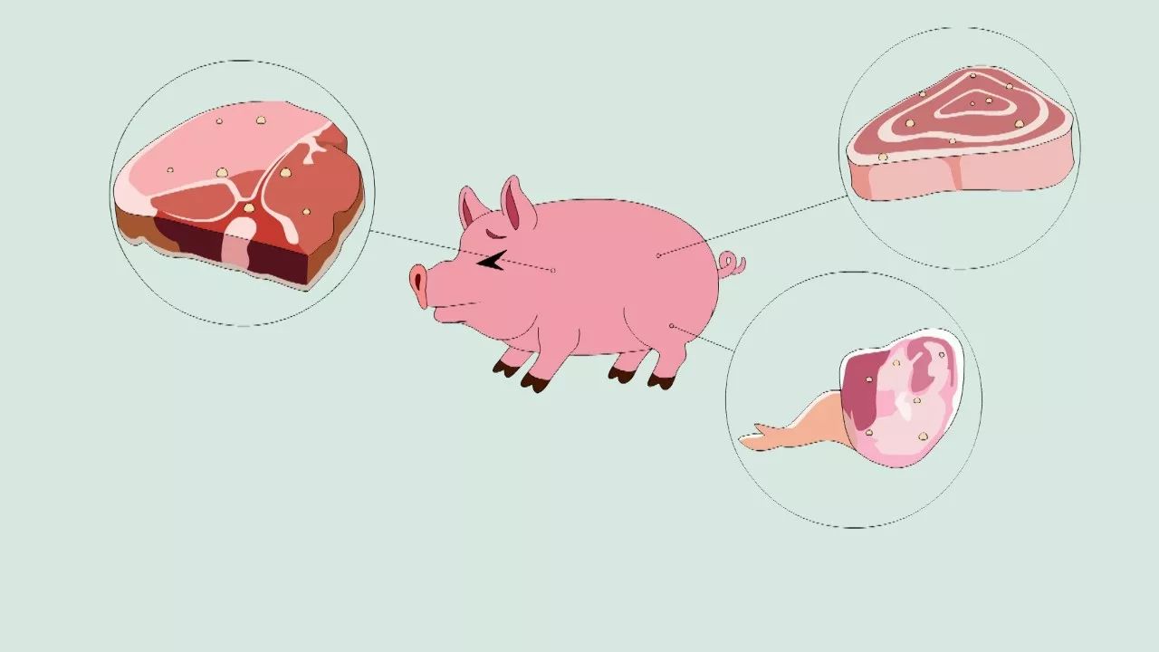 太阳成集团tyc7111cc