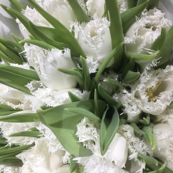 太阳成集团tyc7111cc