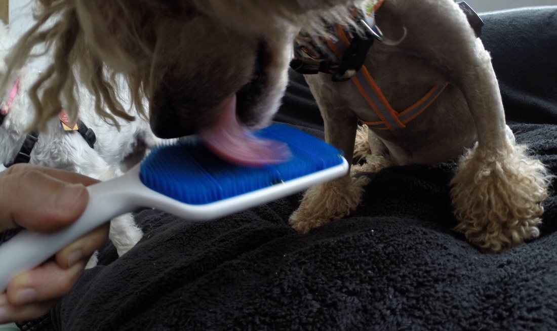 太阳成集团tyc7111cc|走路不对会致病(图4) 太阳成集团tyc7111cc