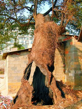 太阳成集团tyc7111cc-以军宣称挫败哈马斯海上武器走私(图4) 太阳成集团tyc7111cc