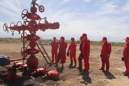 “防甲流”中药材价格上涨药企压力大【太阳成集团tyc7111cc】(图4) 太阳成集团tyc7111cc