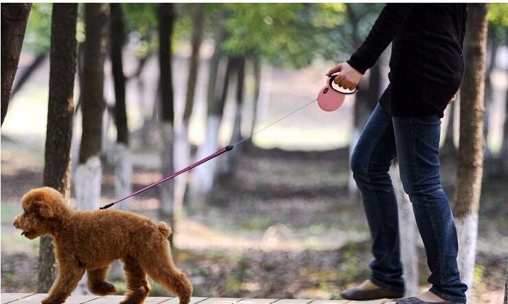 甲流康复者血浆能救其他患者_太阳成集团tyc7111cc(图1) 太阳成集团tyc7111cc