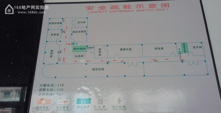 ‘太阳成集团tyc7111cc’明明是高颜值的花卉偏偏要做实力中药(图2) 太阳成集团tyc7111cc