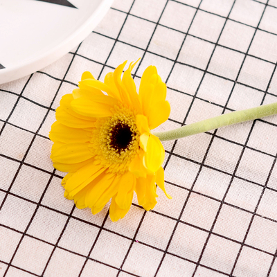 正在备孕中要如何了解自己是否为怀孕呢:太阳成集团tyc7111cc(图3) 太阳成集团tyc7111cc