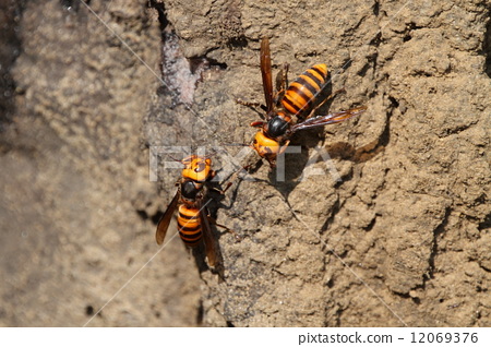 美众院通过决议限制总统对伊朗动武被指不具约束力‘太阳成集团tyc7111cc’(图1) 太阳成集团tyc7111cc