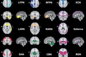 太阳成集团tyc7111cc_巴基斯坦大学院长:中国人在巴买东西可能不要钱(图2) 太阳成集团tyc7111cc