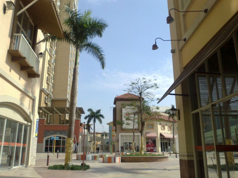 场面太惨意大利军队出动军车转移死亡患者遗体(图)：太阳成集团tyc7111cc