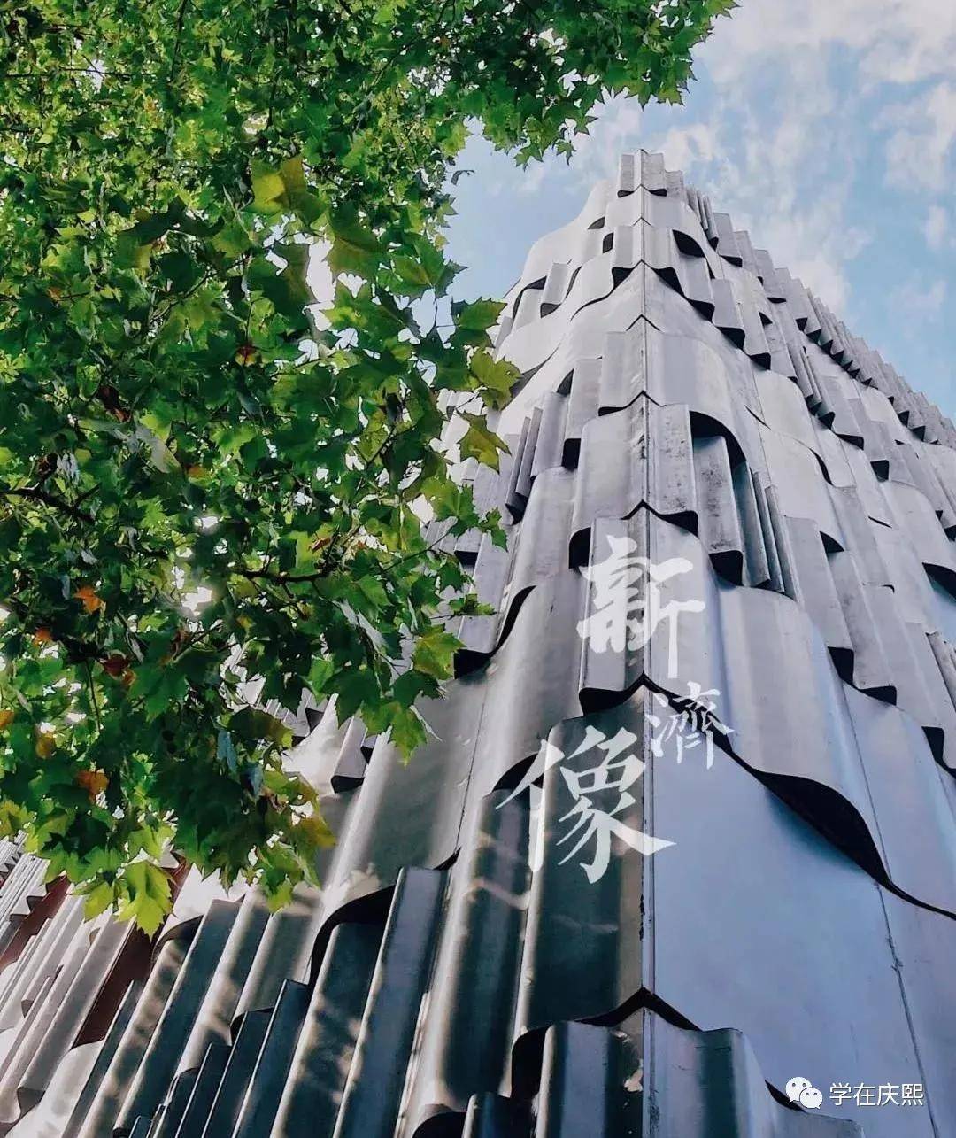 
中韩名校解读：细数同济大学和庆熙大学的不解之缘【太阳成集团tyc7111cc】(图5)