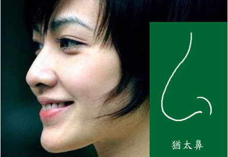 太阳成集团tyc7111cc