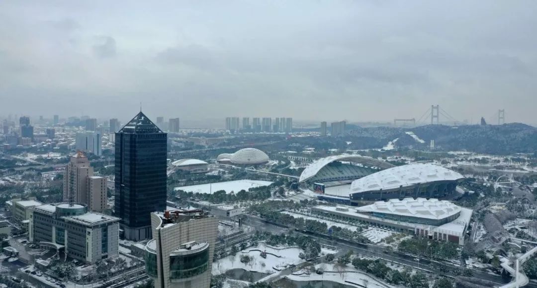 ‘太阳成集团tyc7111cc’11.11快递站长找来了外外外外外星人?(图3) 太阳成集团tyc7111cc