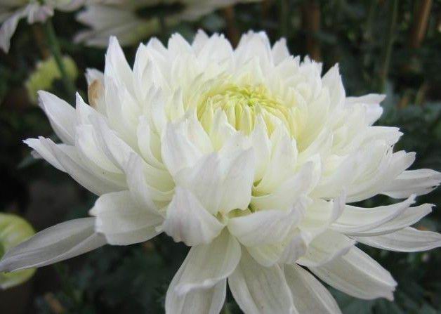 太阳成集团tyc7111cc